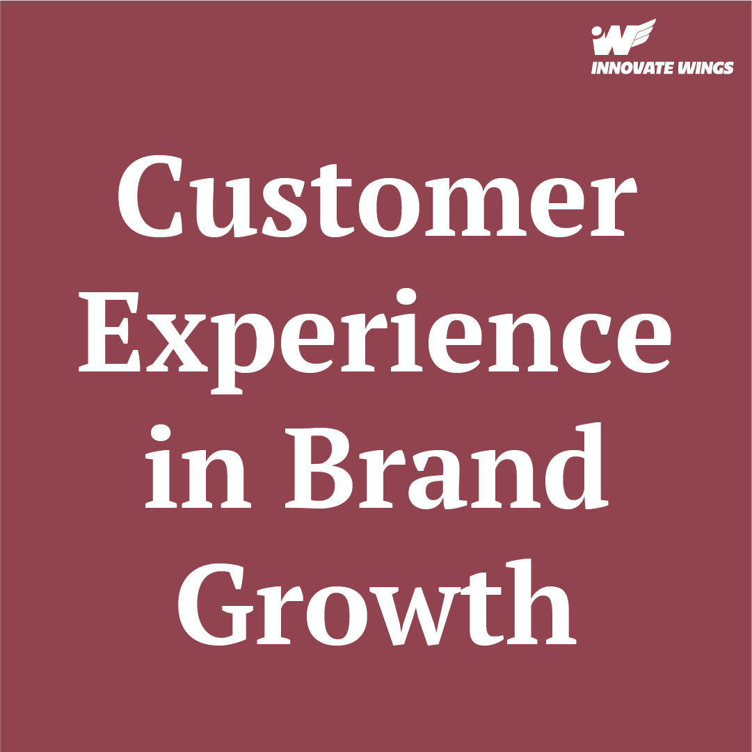 Customer Experience in Brand Growth by Innovate Wings