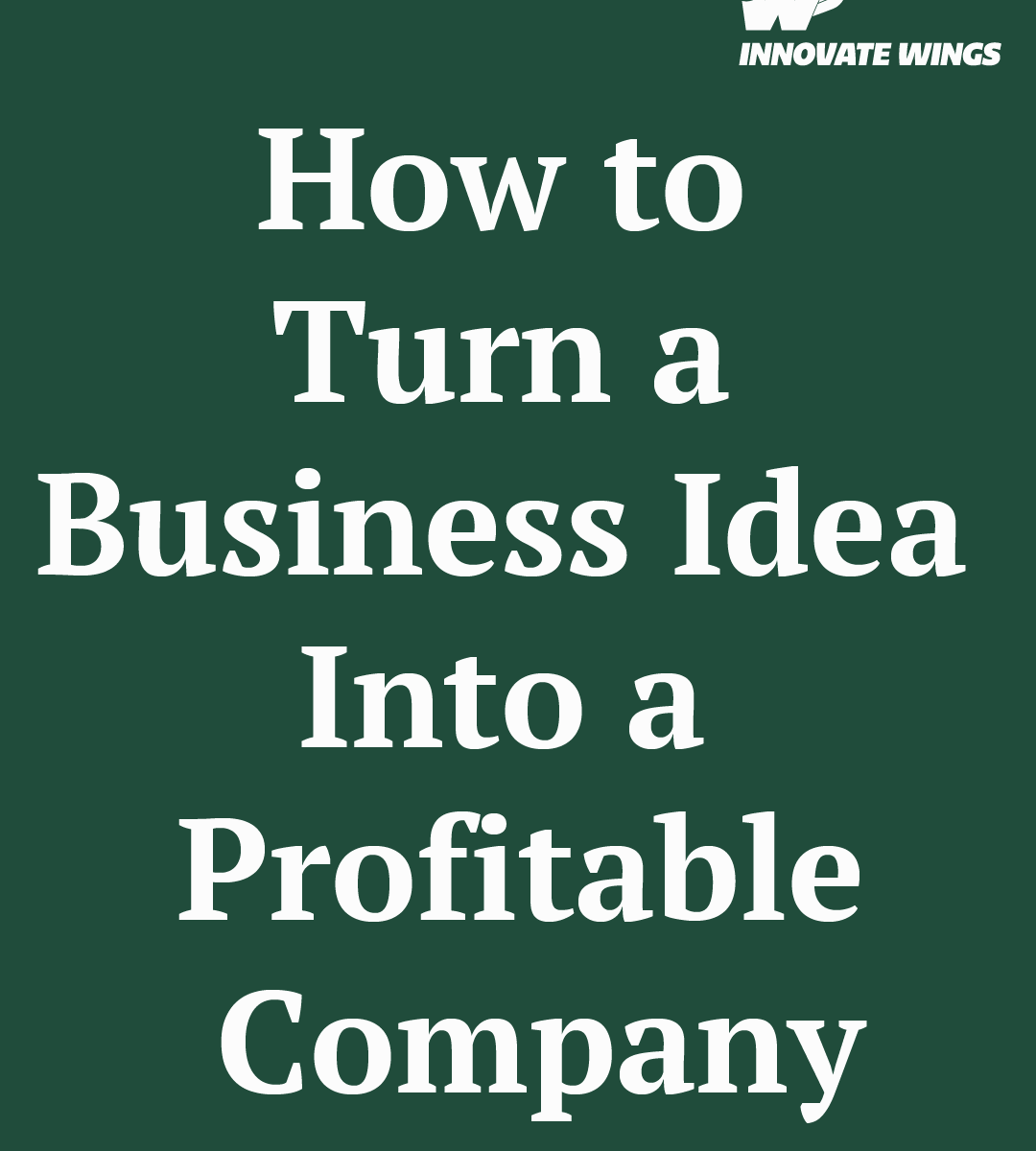 How to Turn a Business Idea Into a Profitable Company by Innovate Wings