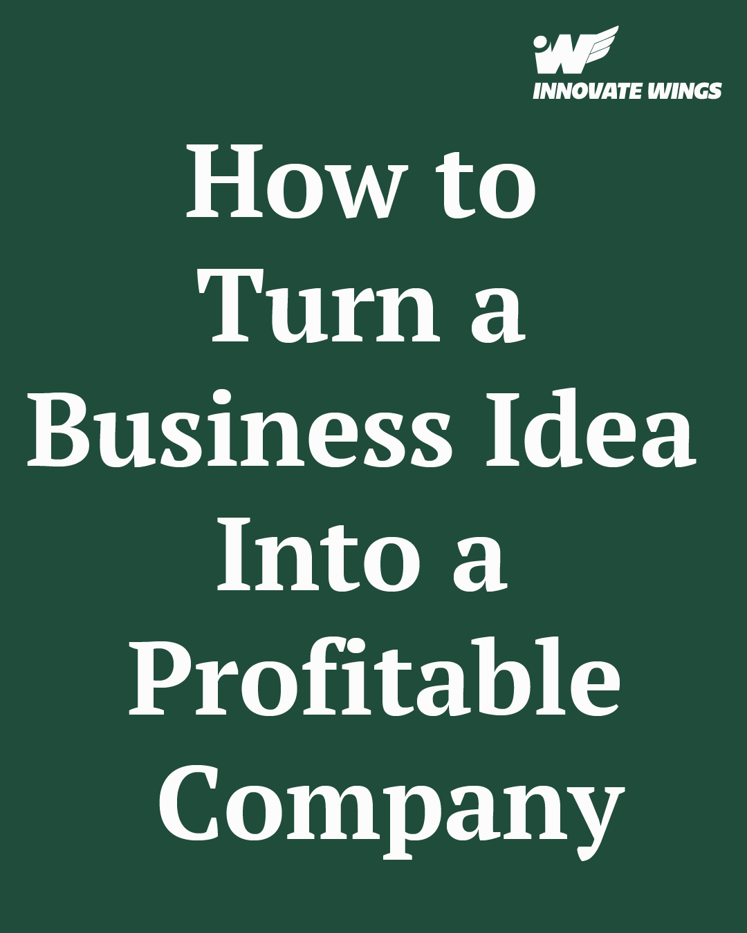 How to Turn a Business Idea Into a Profitable Company by Innovate Wings