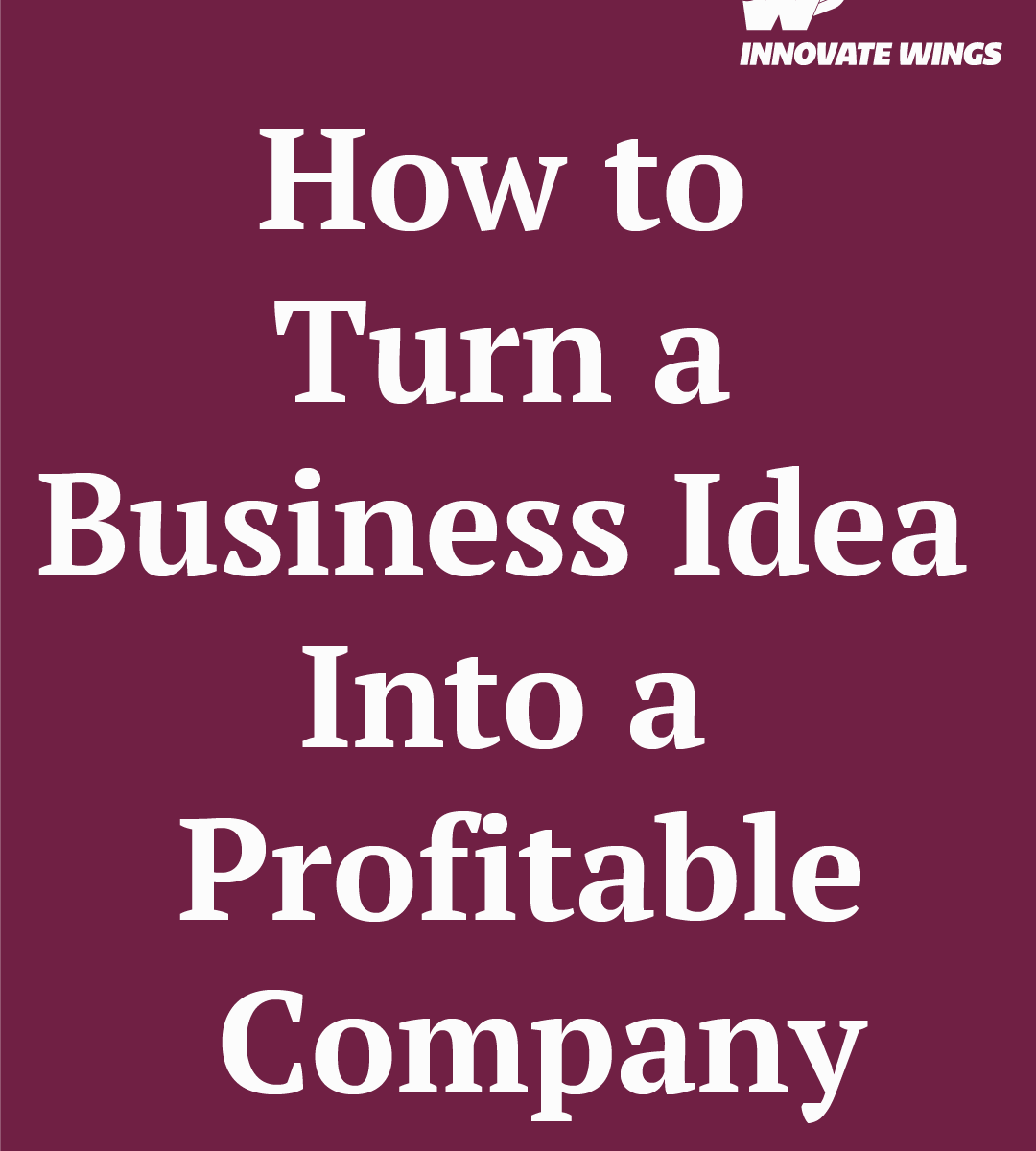 How to Turn a Business Idea Into a Profitable Company by Innovate Wings